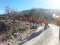 IMG-20140128-WA0011 - copia