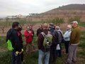 IMG-20141120-WA0000_Salida a Tallante_Explicacion garbancillo